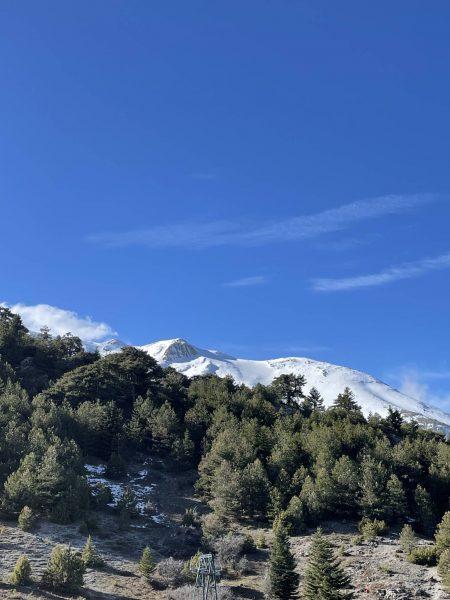 τρίκαλα κορινθίας