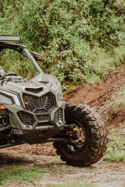 Πώς μπορώ να λάβω μέρος σε μια βόλτα buggy και γουρούνες;