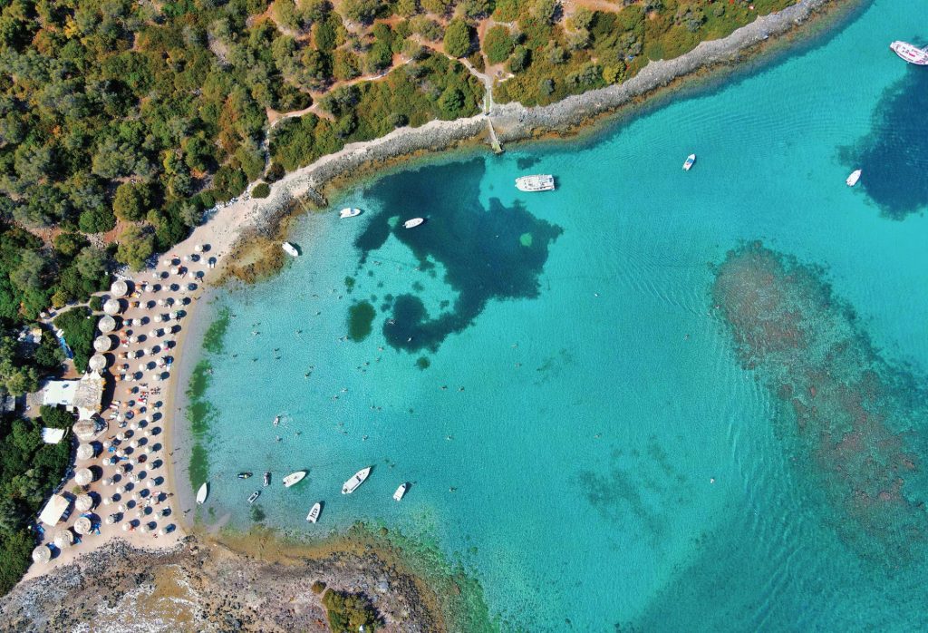 Ευβοϊκός και πεύκο Ευβοϊκός και πεύκο