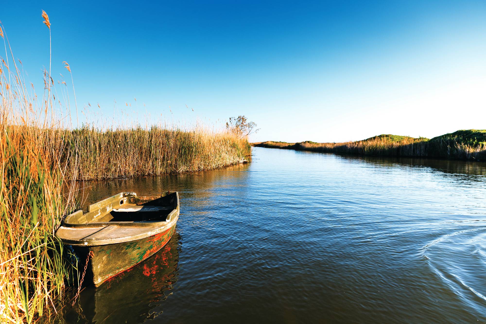 cover-photo