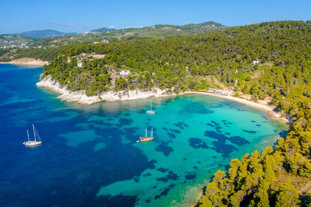 Πεύκα και αλμύρα Πεύκα και αλμύρα