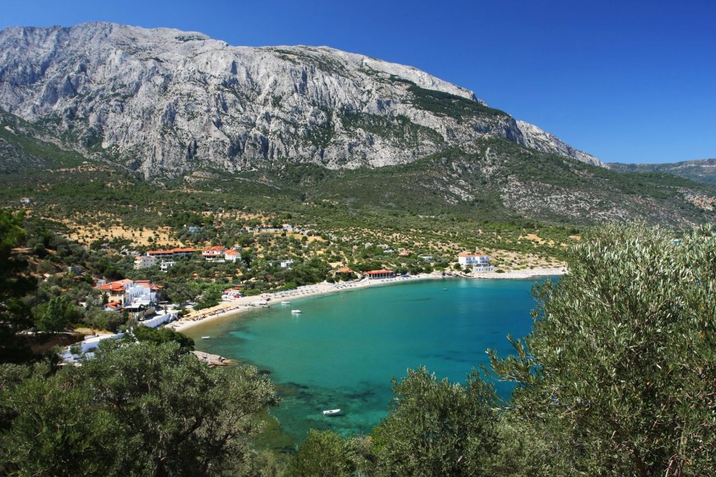 Γλυκιά σαν το κρασί της Γλυκιά σαν το κρασί της