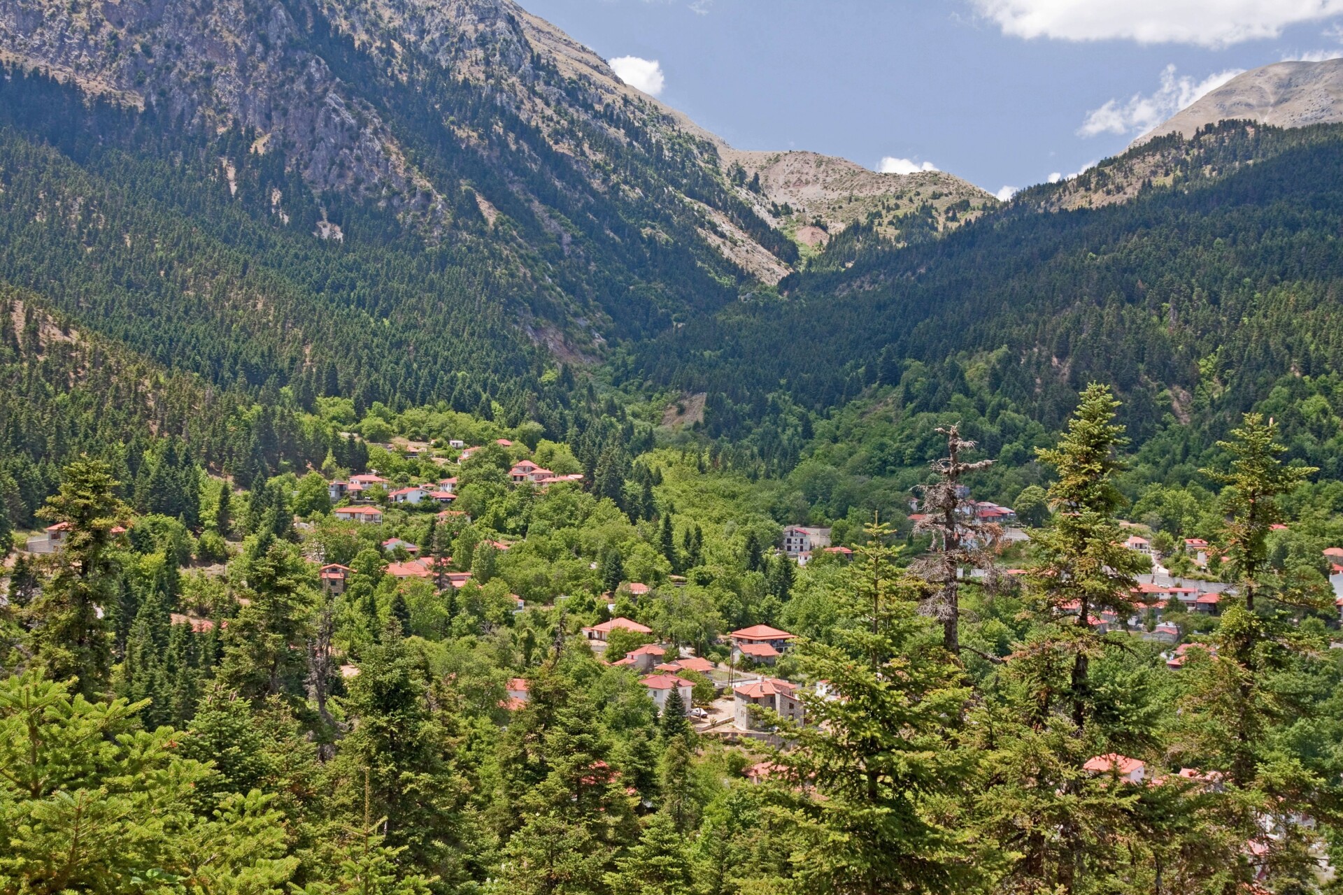 cover-photo