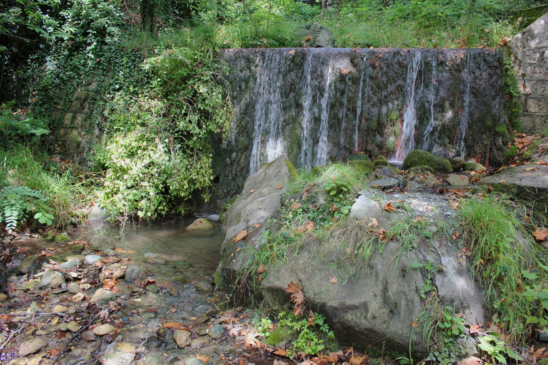 cover-photo