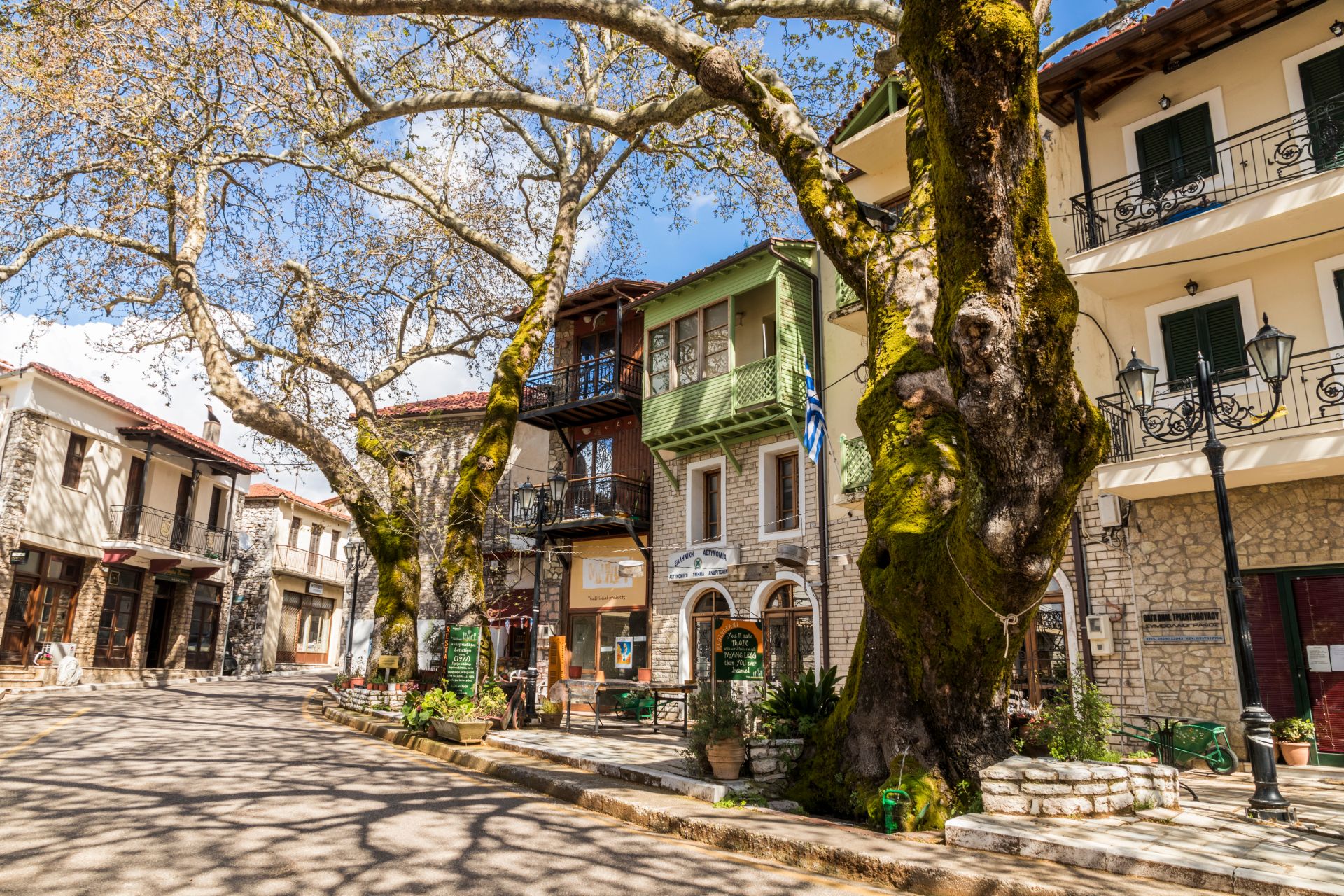 AΝΔΡΙΤΣΑΙΝΑ ΔΙΑΚΟΠΕΣ diakopes.gr