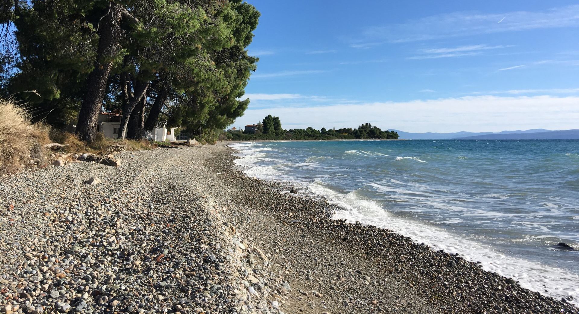 cover-photo