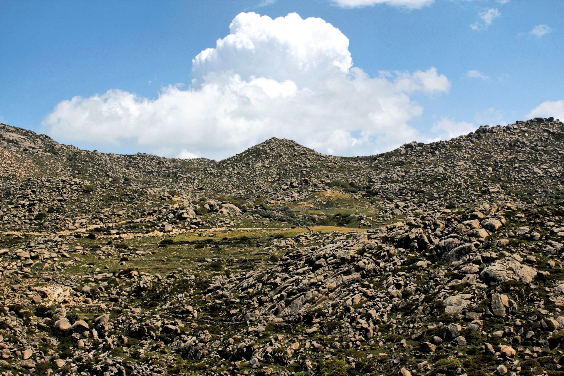 cover-photo