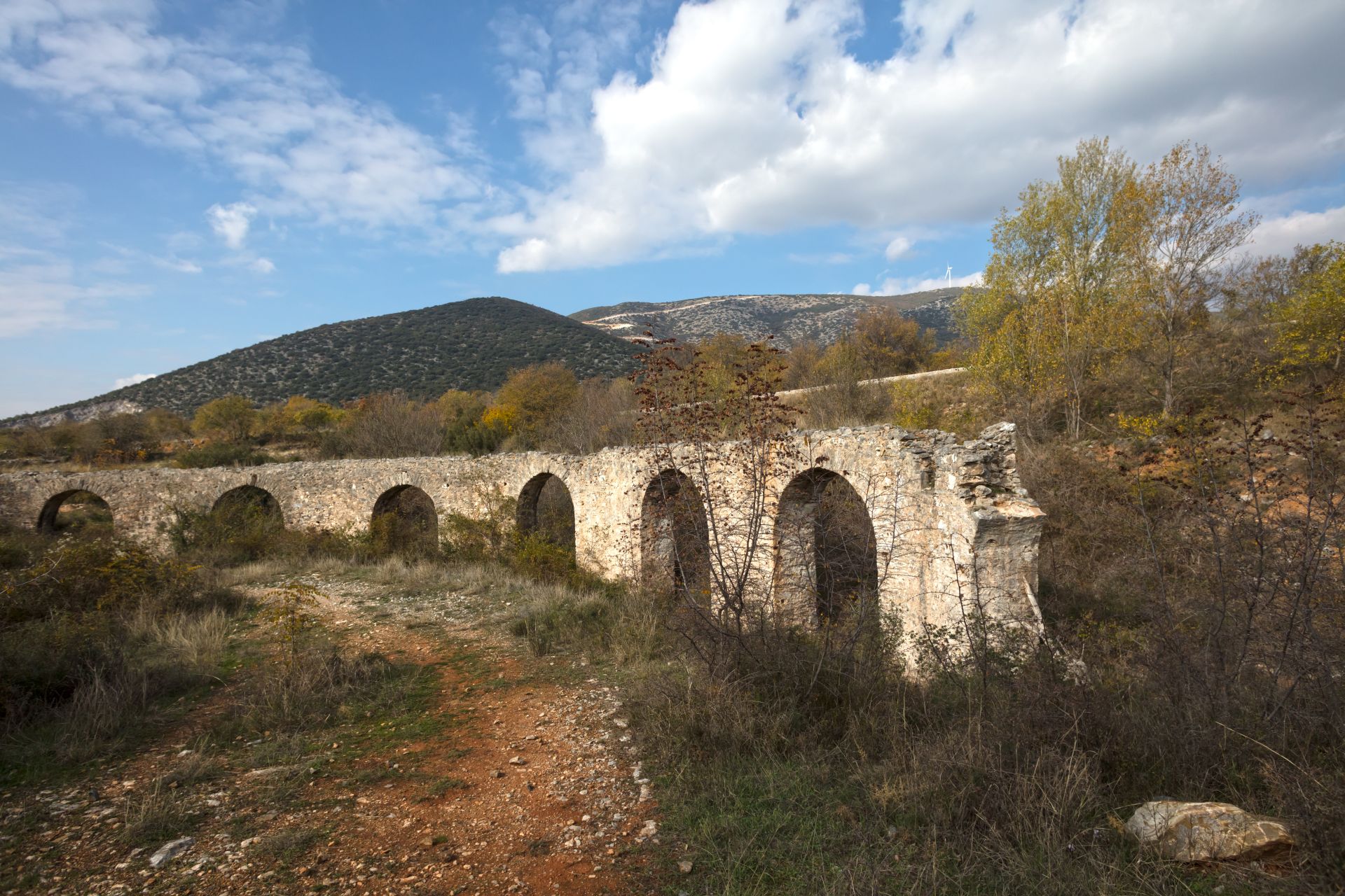 cover-photo