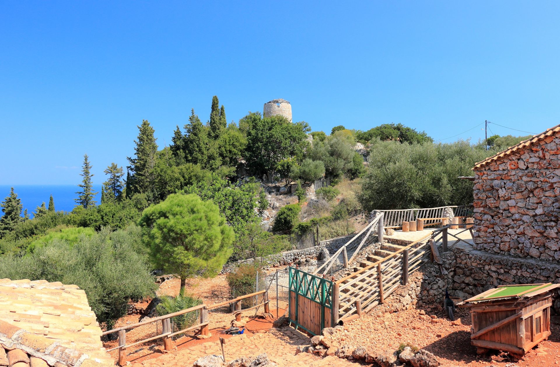 cover-photo