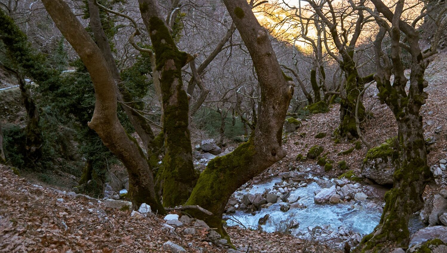 cover-photo
