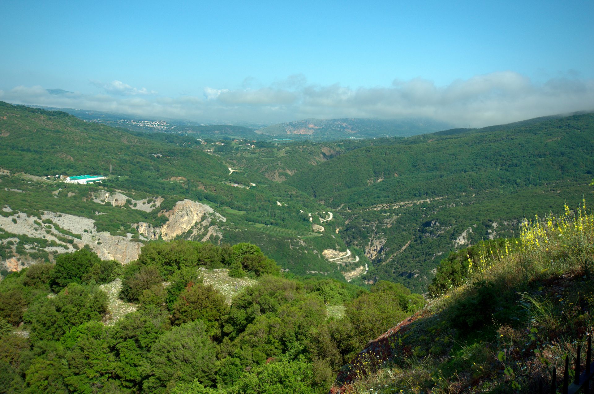 cover-photo