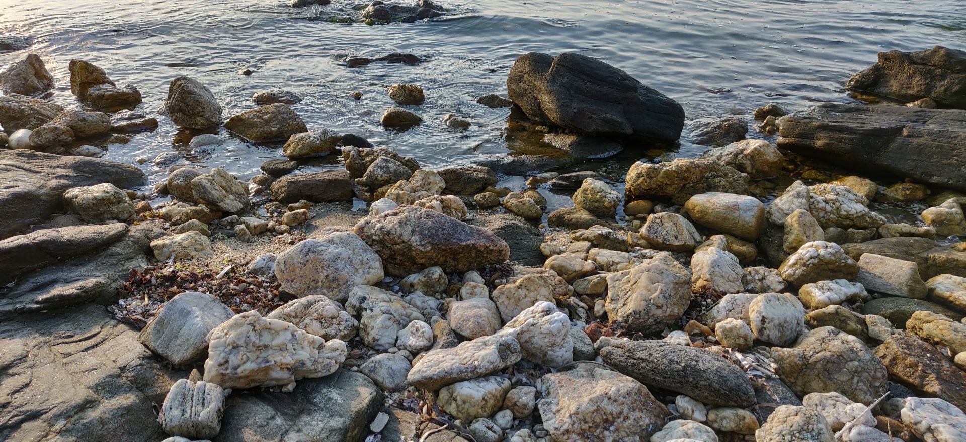 cover-photo
