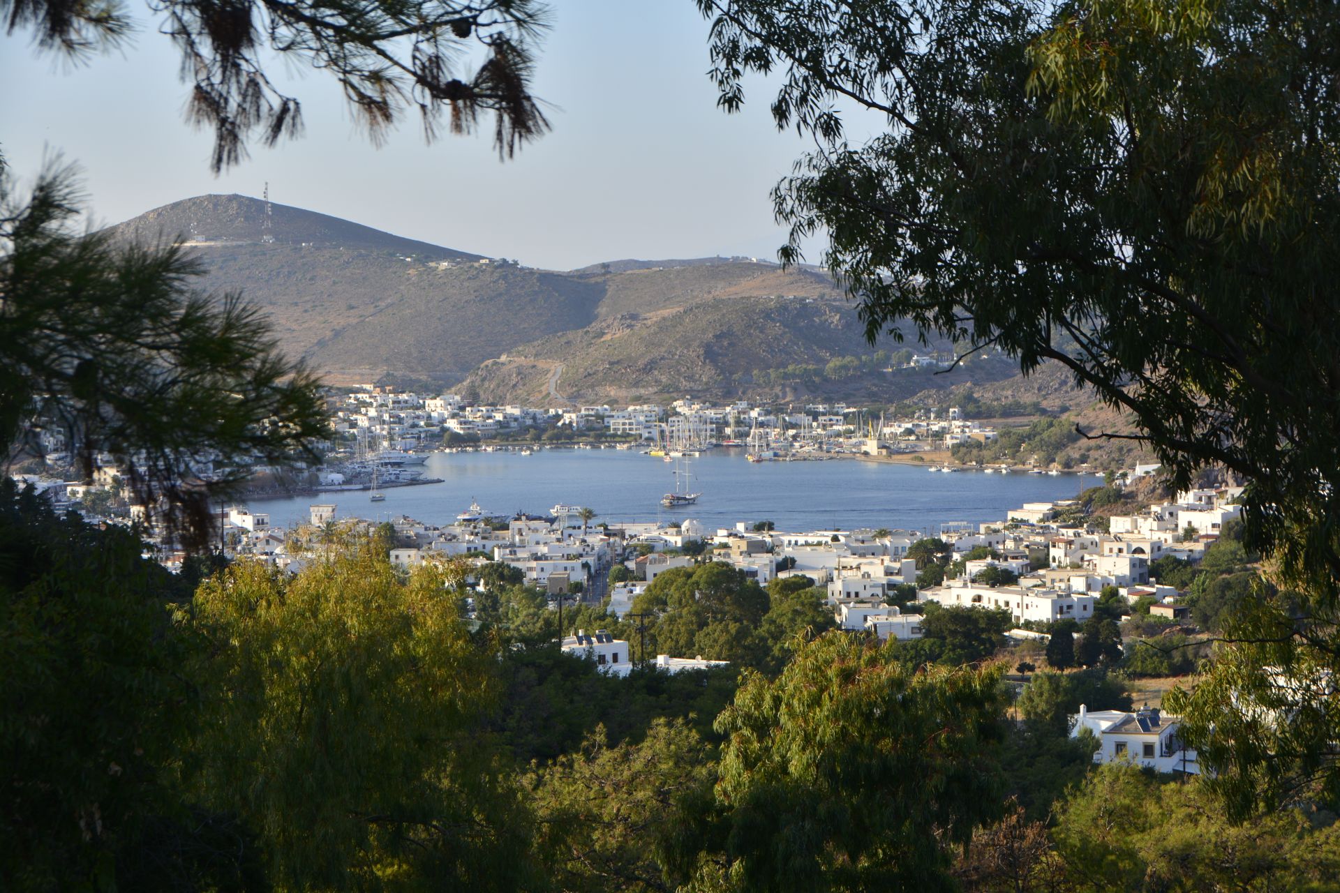 cover-photo