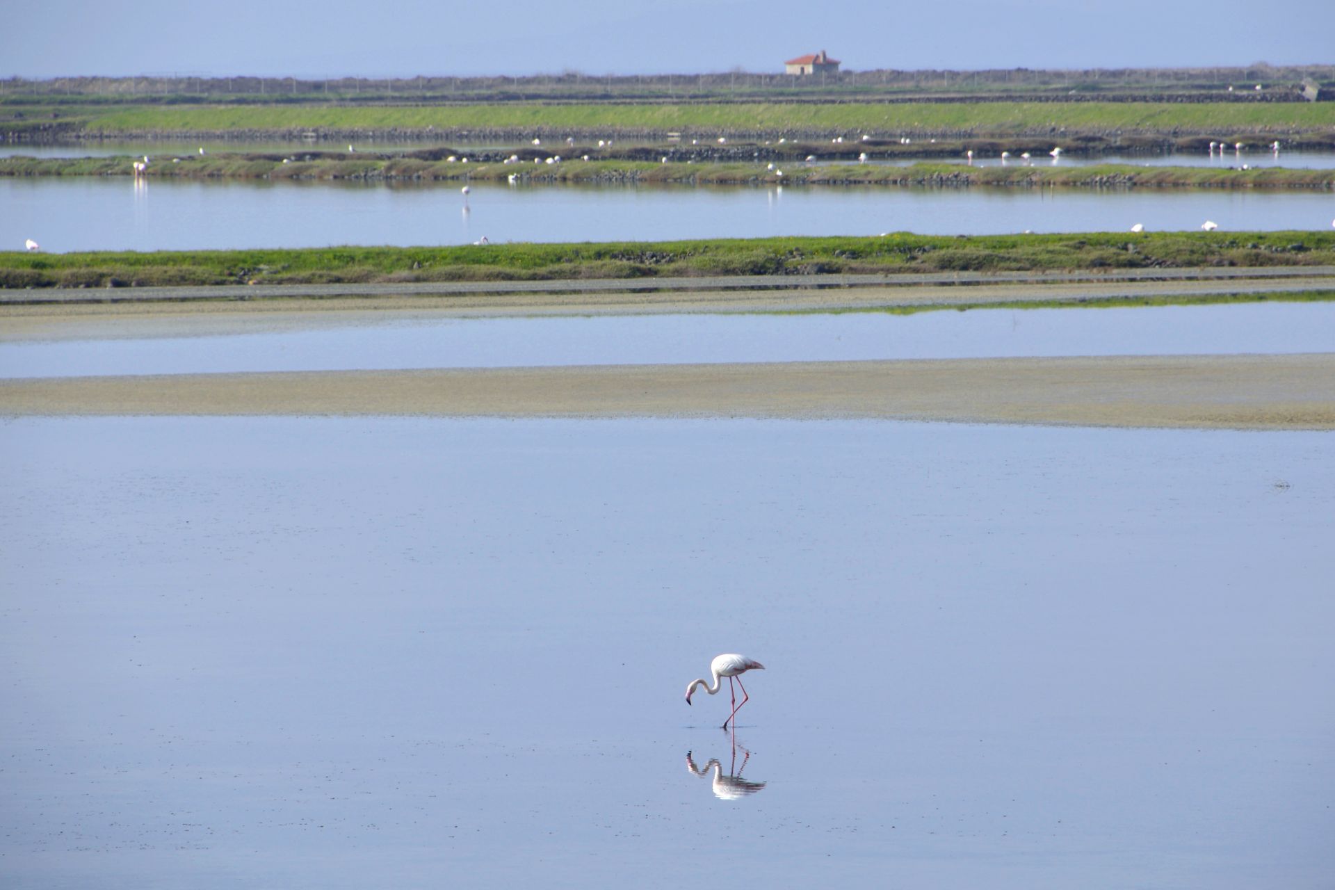 cover-photo