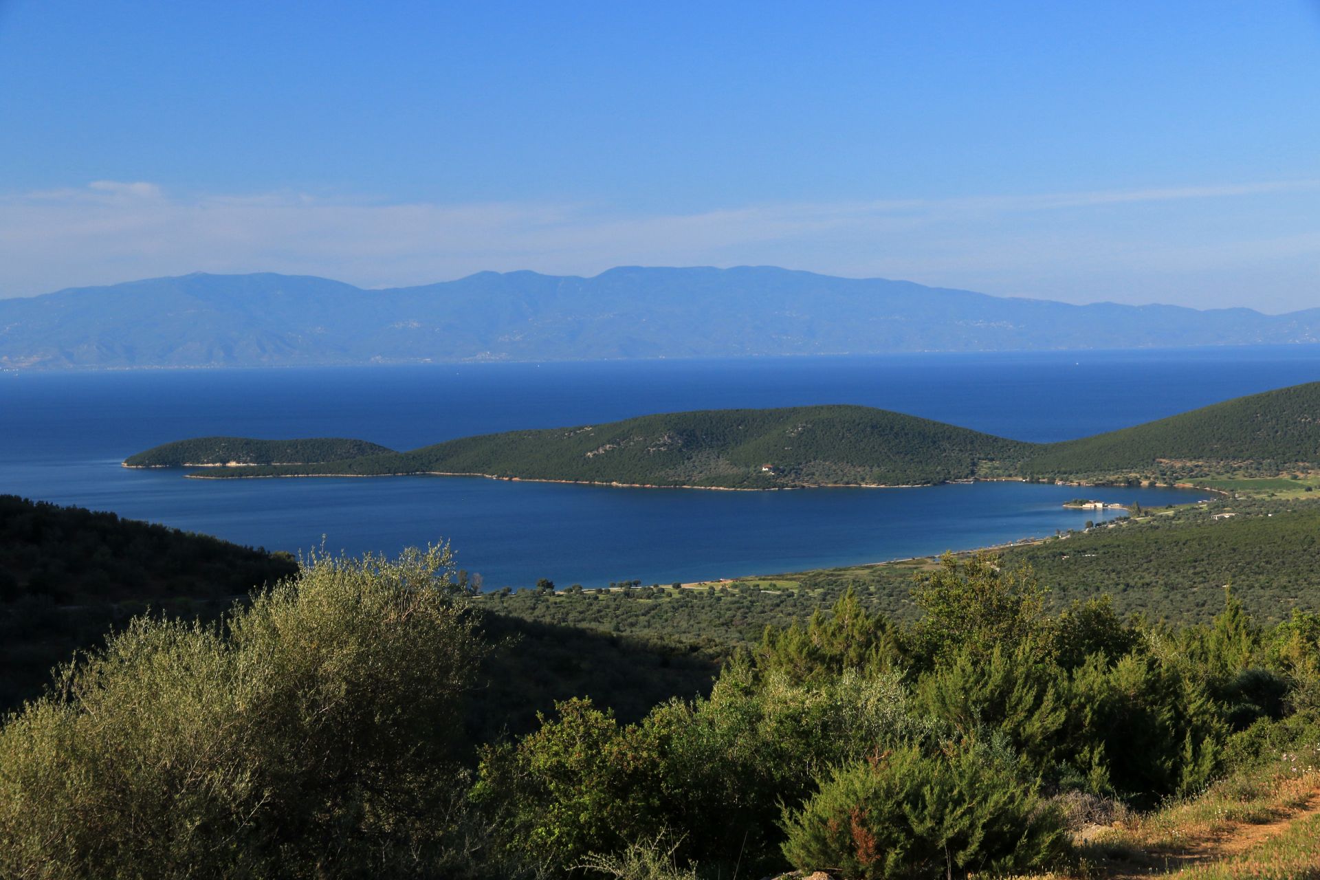 cover-photo