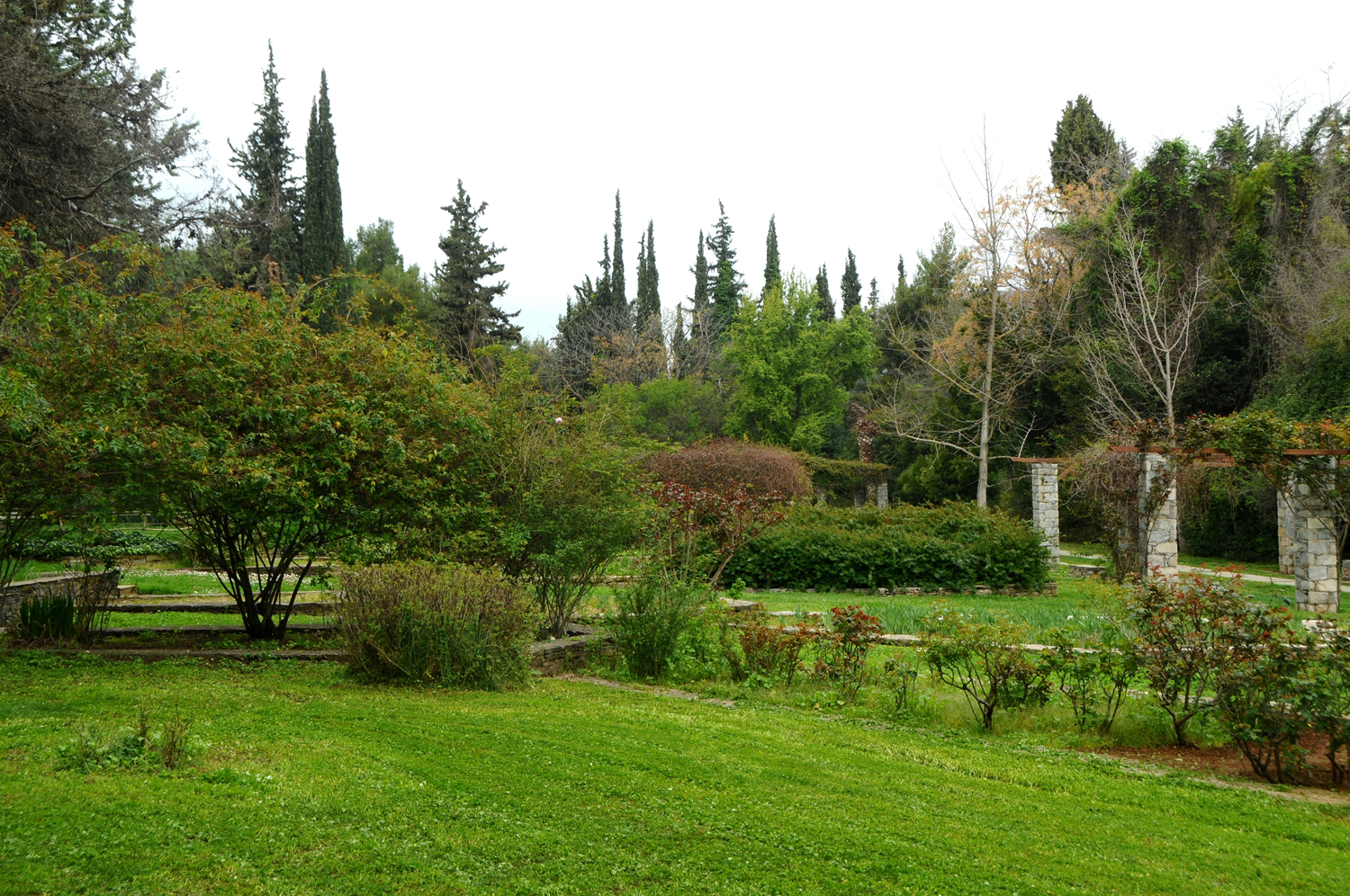 Βοτανικός Κήπος: Μια όαση πρασίνου δίπλα μας