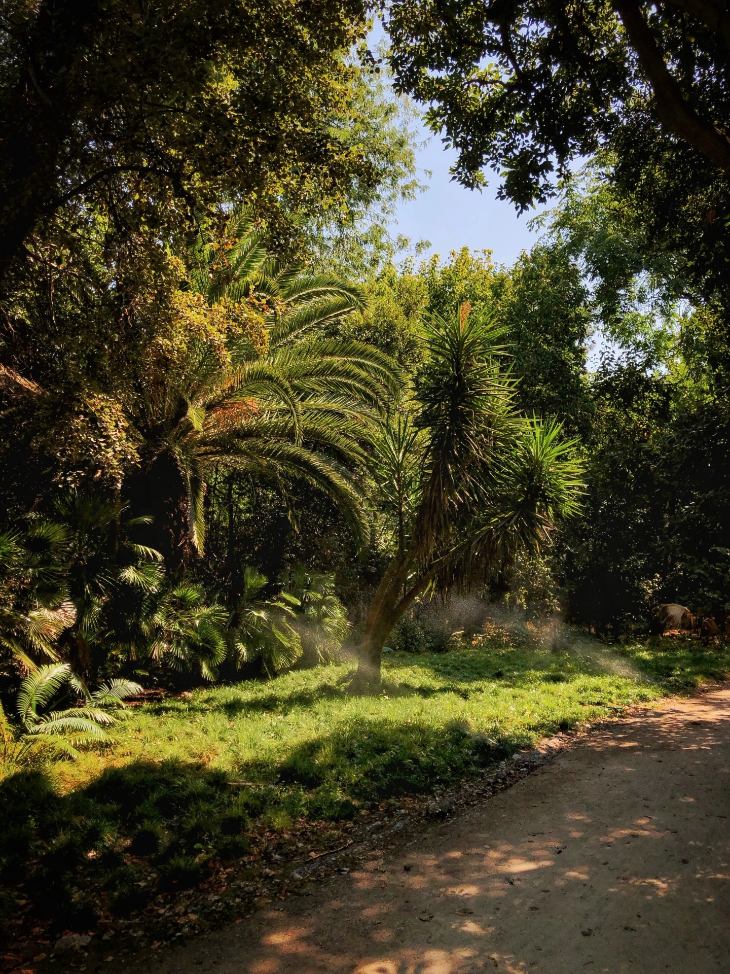 Εθνικός Κήπος: Ο “πράσινος στυλοβάτης” της Αθήνας