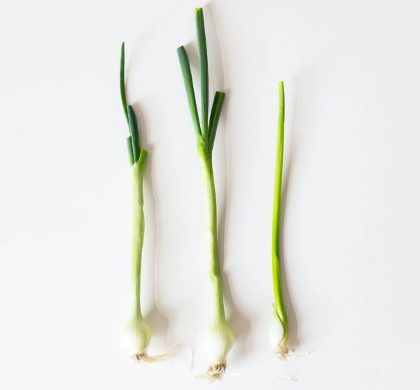 lemongrass_kipos_diakopes