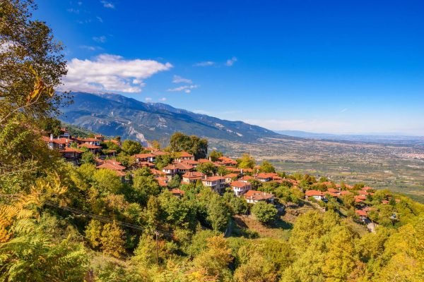 παλαιός παντελεήμονας, Πιερία