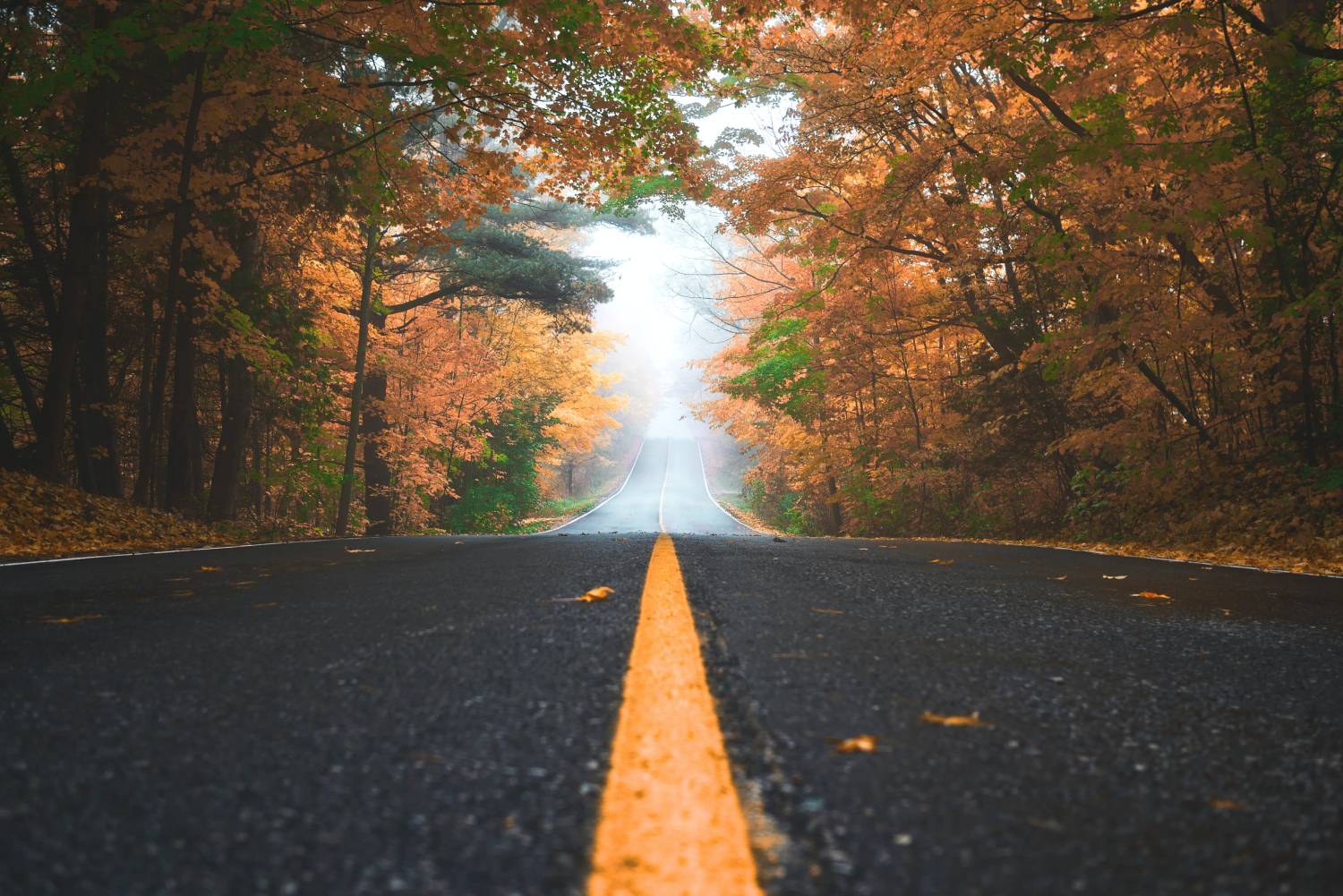 Διακοπές: Το απόλυτο χειμερινό roadtrip είναι στα Ζαγοροχώρια
