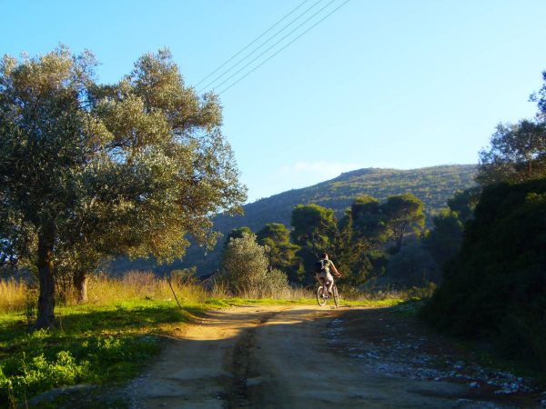 βόλτες με ποδήλατο σε όλη την Αττική