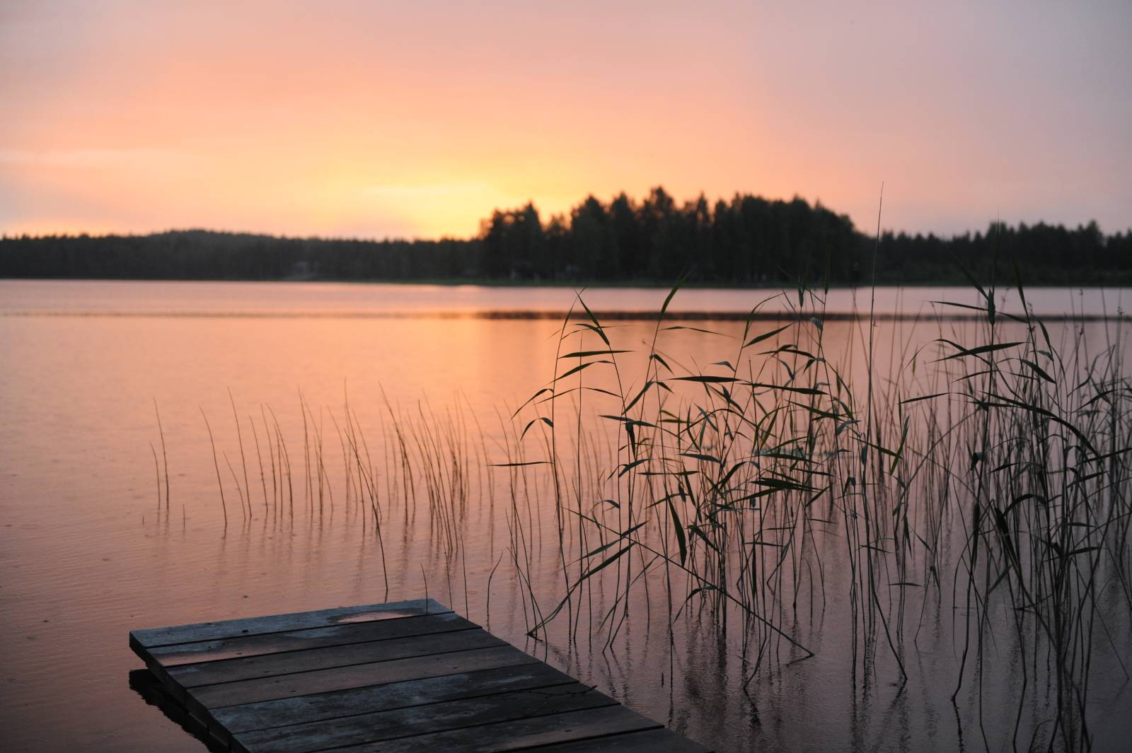 Λίμνη Βόλβη: Ανακαλύψτε τη δεύτερη μεγαλύτερη φυσική λίμνη της χώρας