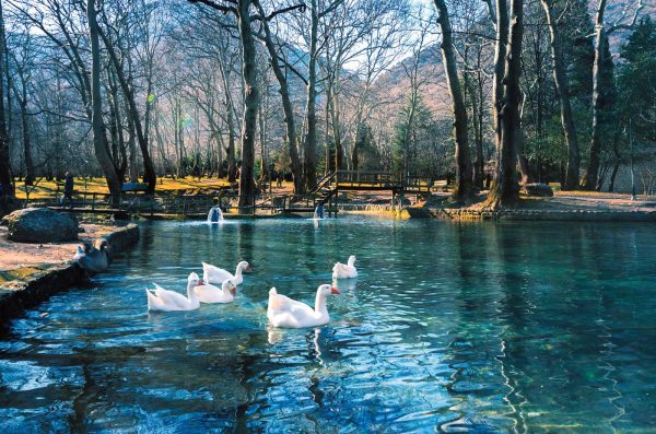 πάρκο Αγίου Νικολάου στην Νάουσα