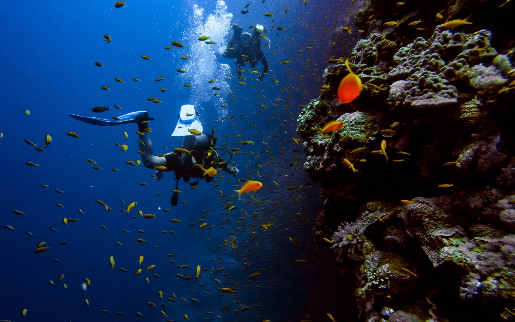 Πού μπορούμε να κάνουμε Scuba Diving στην Αττική;