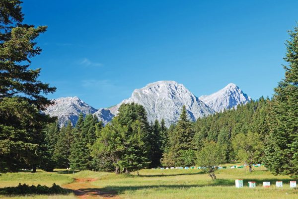 Καταφύγιο Οίτης προορισμός κοντά στην Αθήνα