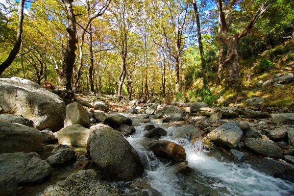 στενή ευβοια ορεινός προορισμός