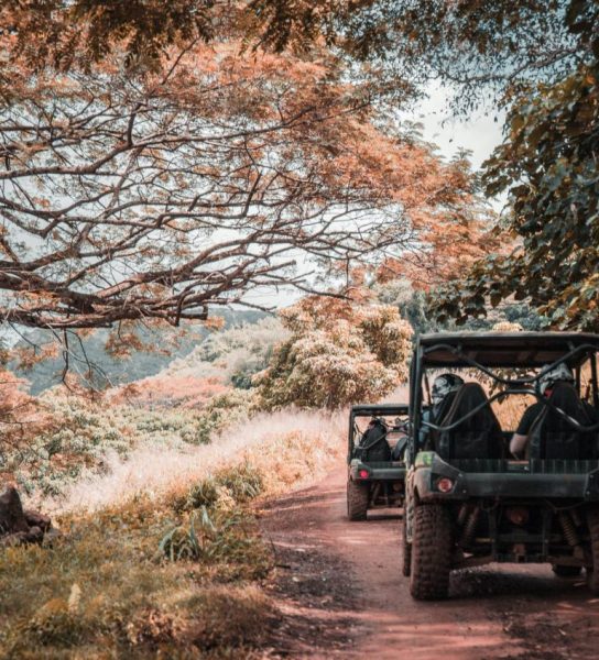 Βόλτα με Buggy στη Ζήρεια