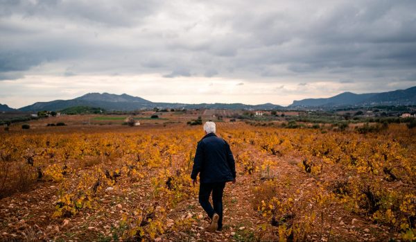 οινοτουρισμός κοντά στην αθήνα παπαγιαννάκος ρετσίνα