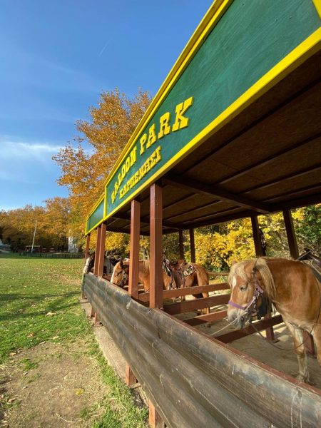 καρπενήσι δραστηριότητες με παιδιά saloon park