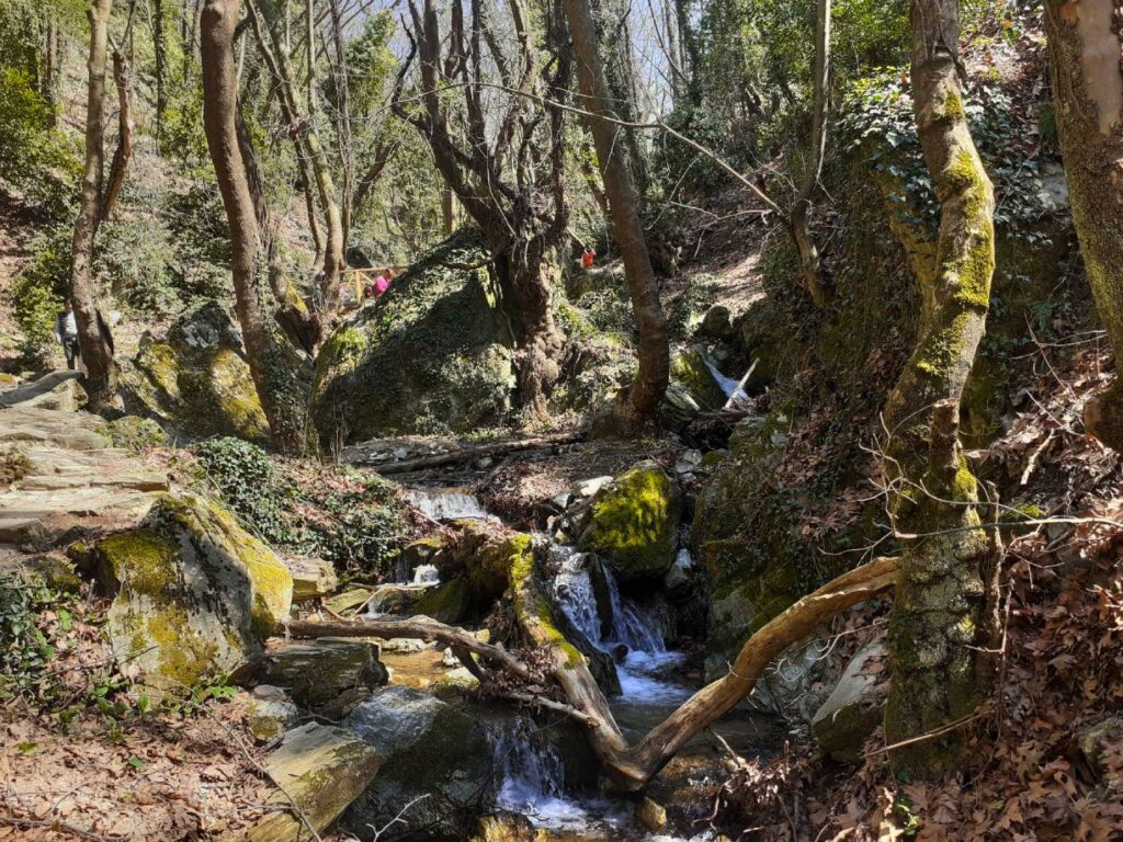 Το μονοπάτι των Κενταύρων: Η απόλυτη οικογενειακή βόλτα στο Πήλιο