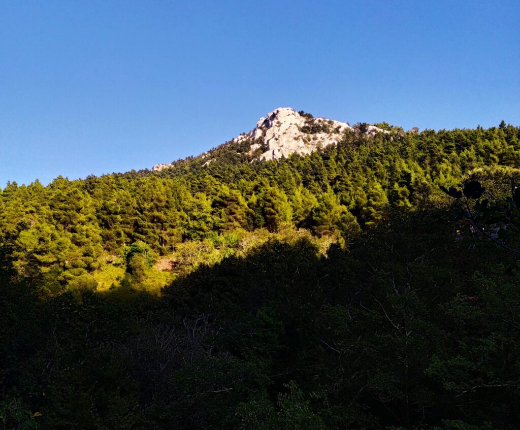 Φύγαμε για κορυφή; Φθινοπωρινές εξορμήσεις στα ορεινά της Εύβοιας