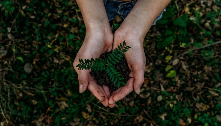 Sustainable Hospitality: Τα πιο eco friendly ξενοδοχεία στην Ελλάδα