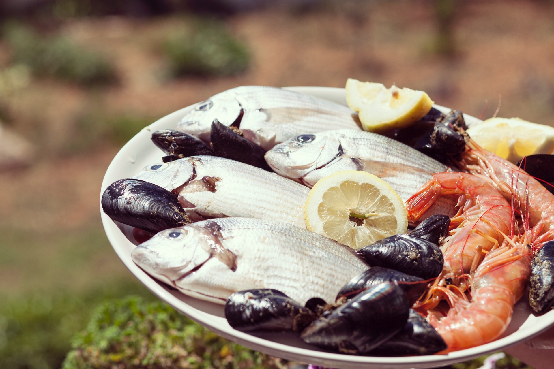 Tarsanas Fish Tavern
