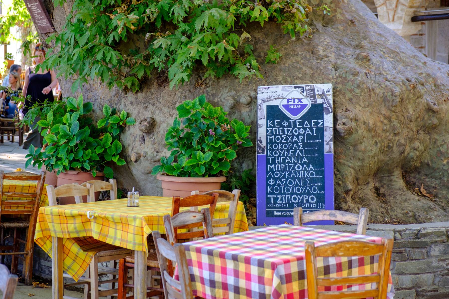Athens Guide: 4+1 αυλές της πόλης για παραδοσιακό φαγητό