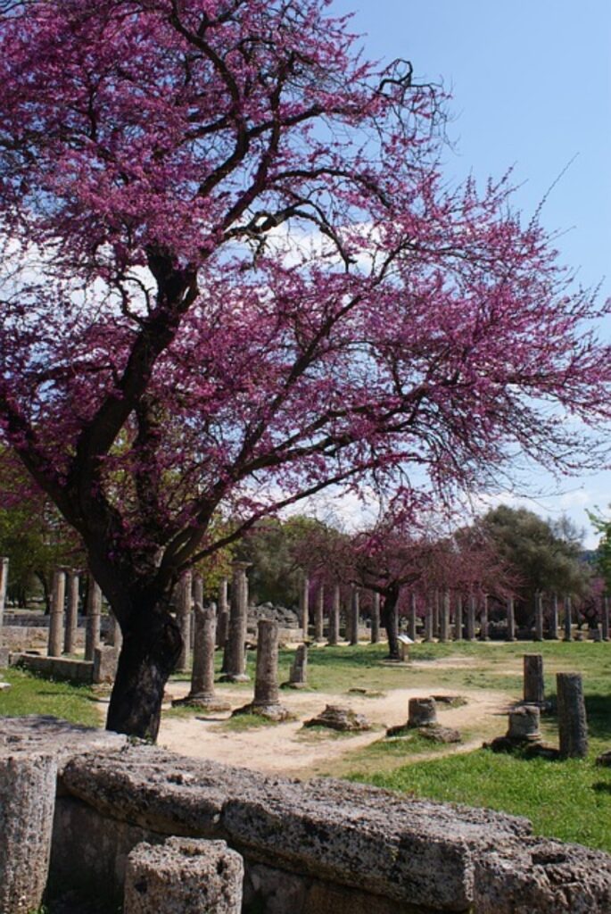 Η Πελοπόννησος φιλοξένει 5 Μνημεία Παγκόσμιας Κληρονομιάς της UNESCO