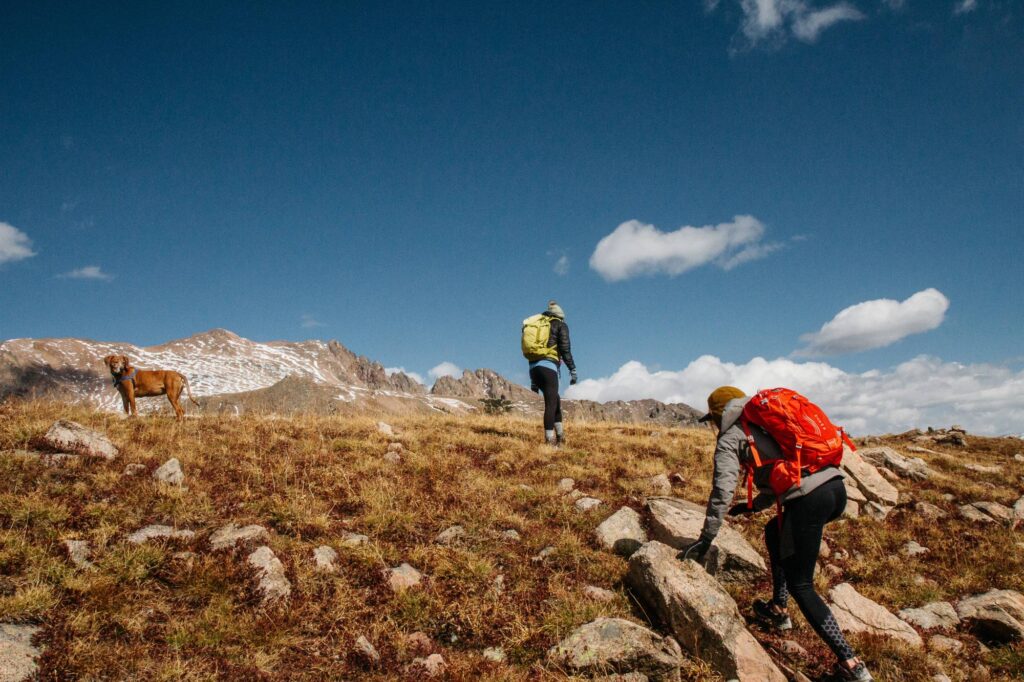 Menalon Trail: Μέσα στις 6 καλύτερες διαδρομές στην Ευρώπη σύμφωνα με τον Guardian