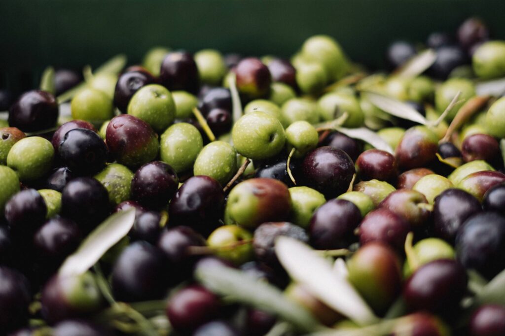 Food Culture: Μια γνωριμία με τα προϊόντα της Αργολίδας