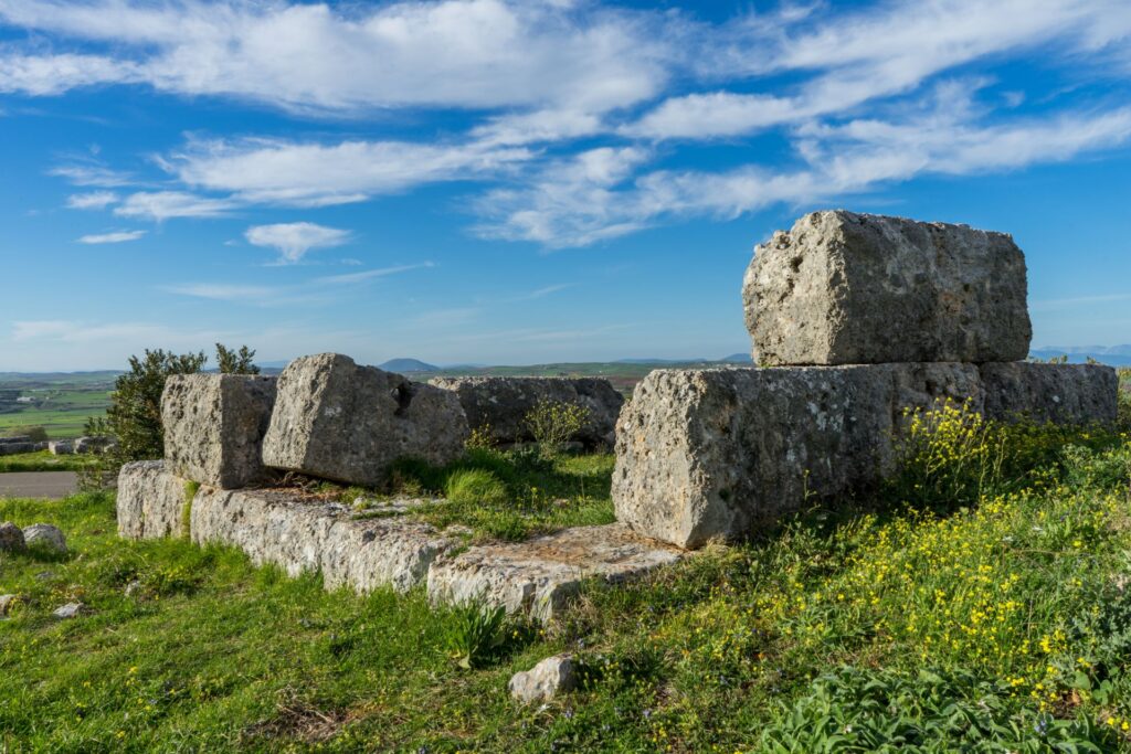 ΠΛΑΤΑΙΕΣ