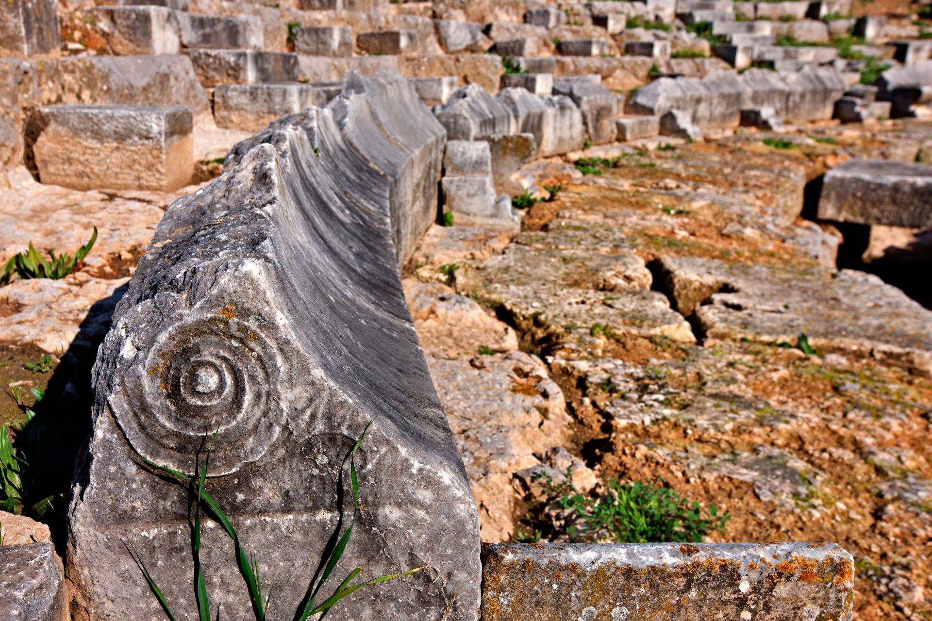 OΡΧΟΜΕΝΟΣ