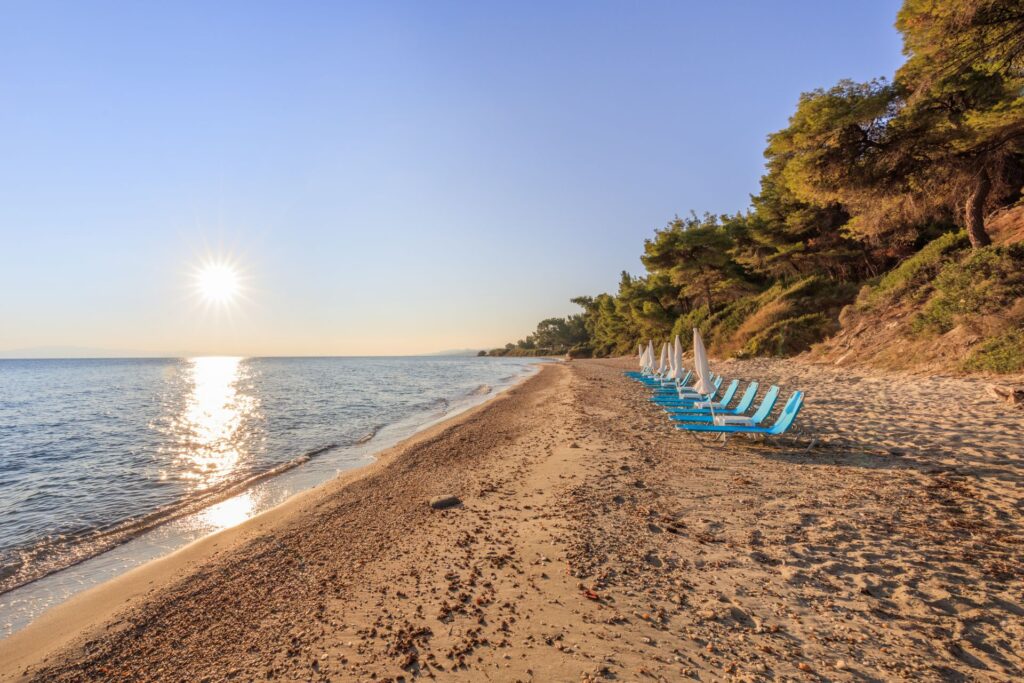 ΠΕΡΙΣΣΟΤΕΡΕΣ ΠΑΡΑΛΙΕΣ