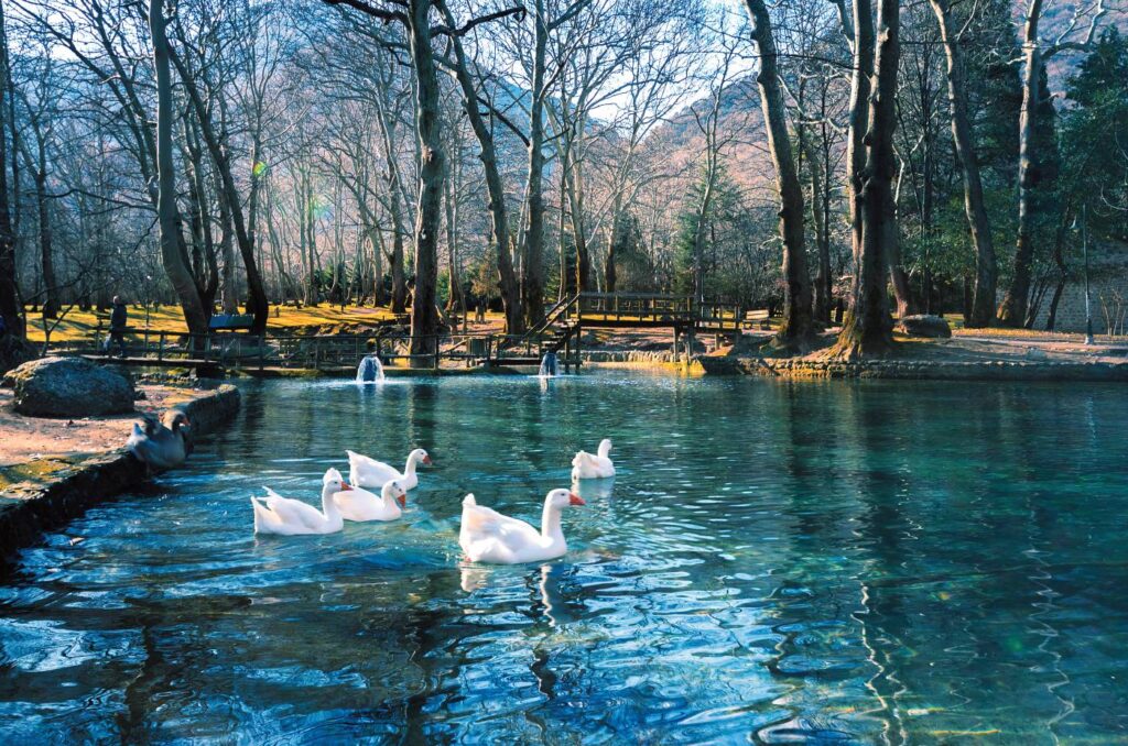 Οικογενειακό Trip: Από τη Θεσσαλονίκη στo πάρκο Αγίου Νικολάου στη Νάουσα