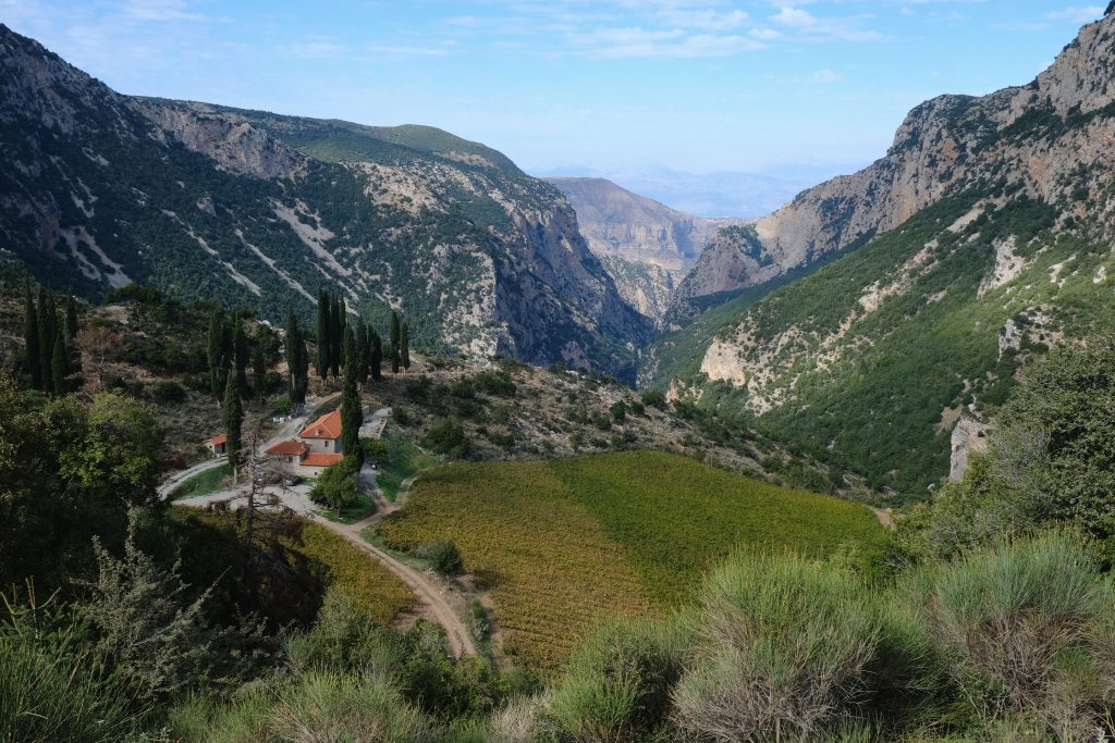 Slow travel και οινοτουρισμός στην Αχαΐα με το Cellarhopping