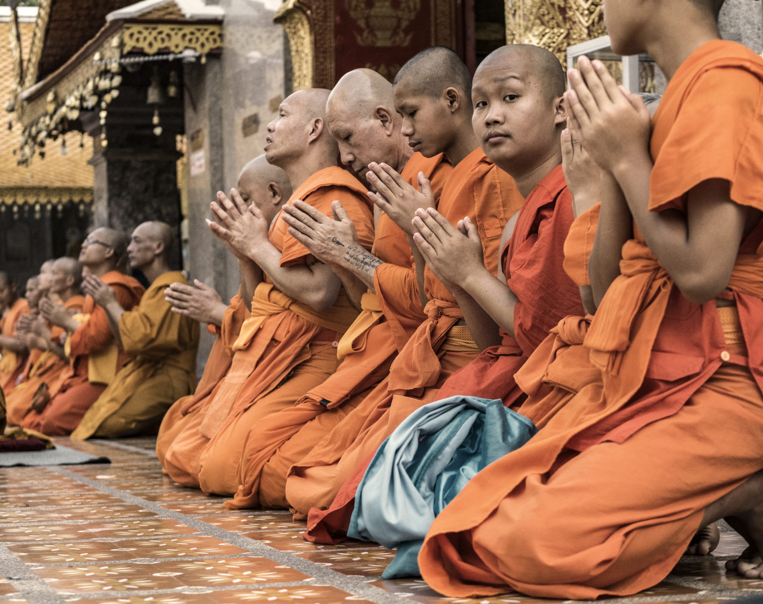 Buddhist monks praying during Visakha Puja in Doi Suthep Chiang Mai Thailand