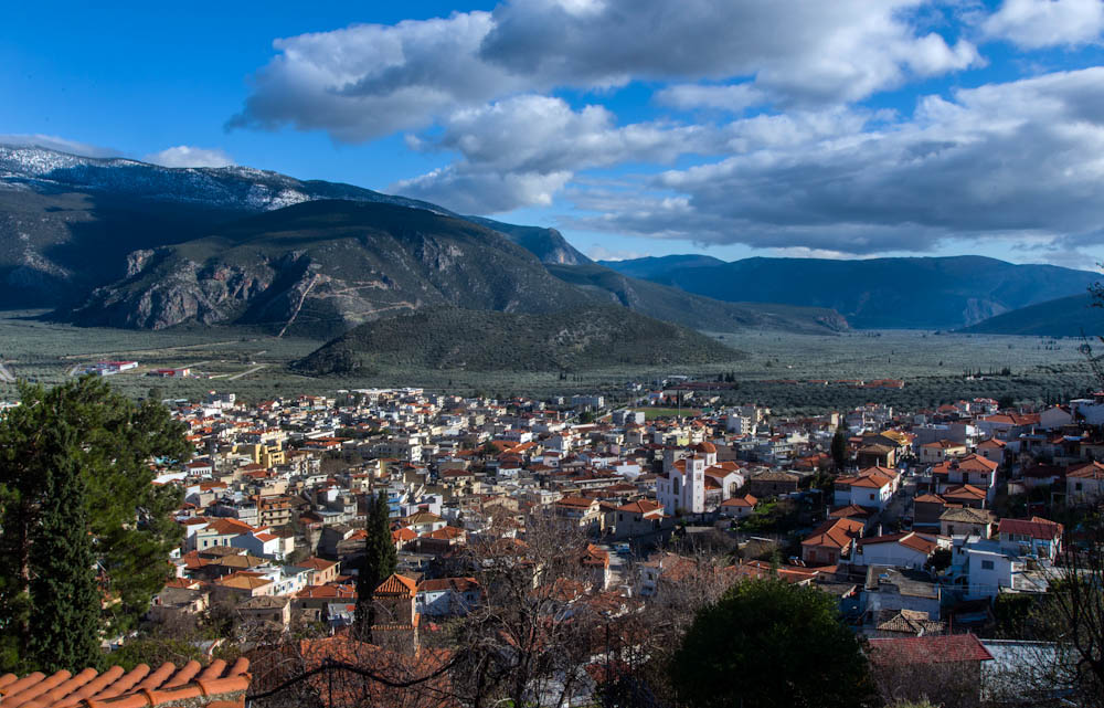 europe, greece, fokida, amfissa, city, olivetrees