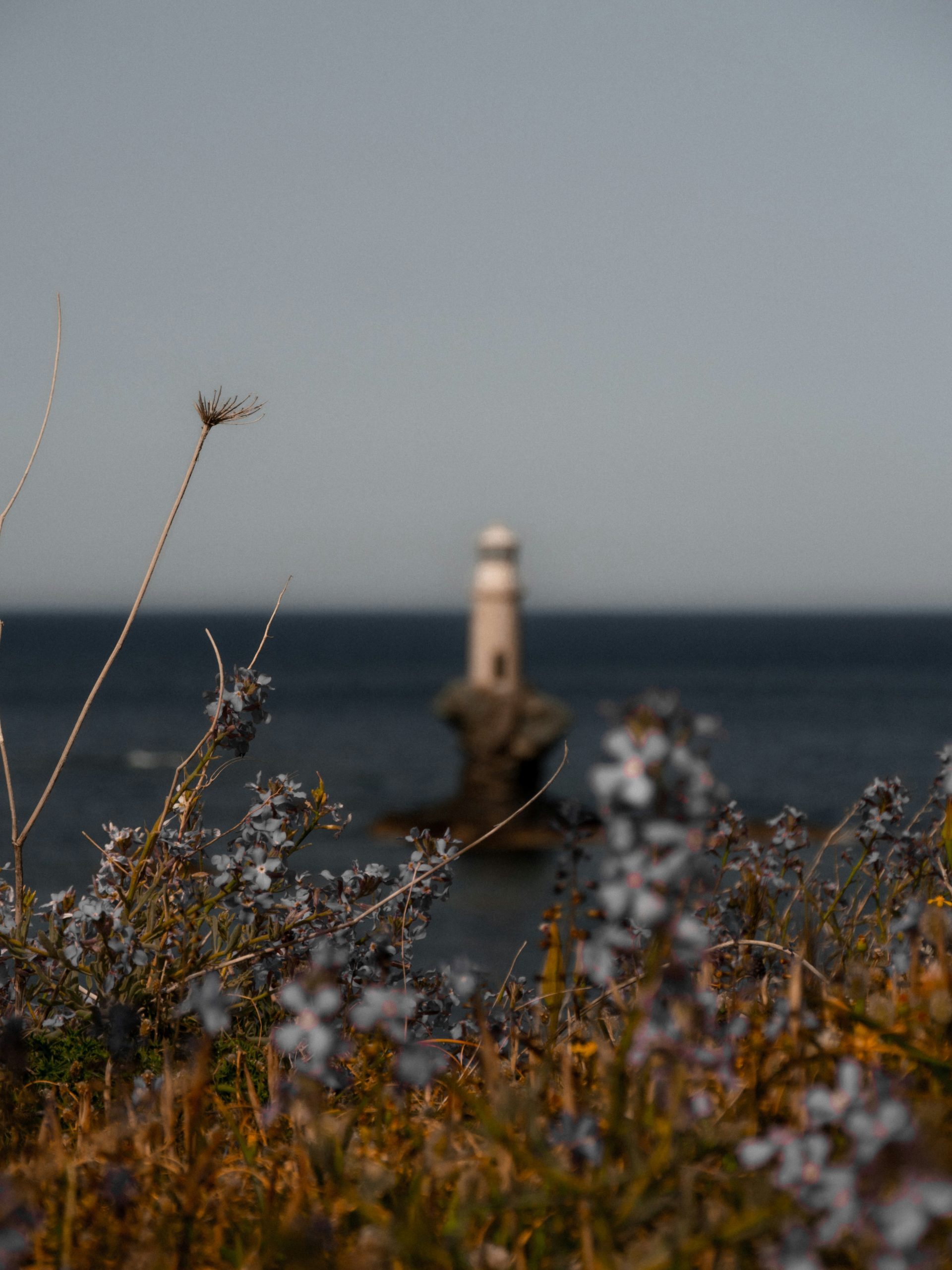 Άνδρος-diakopes.gr