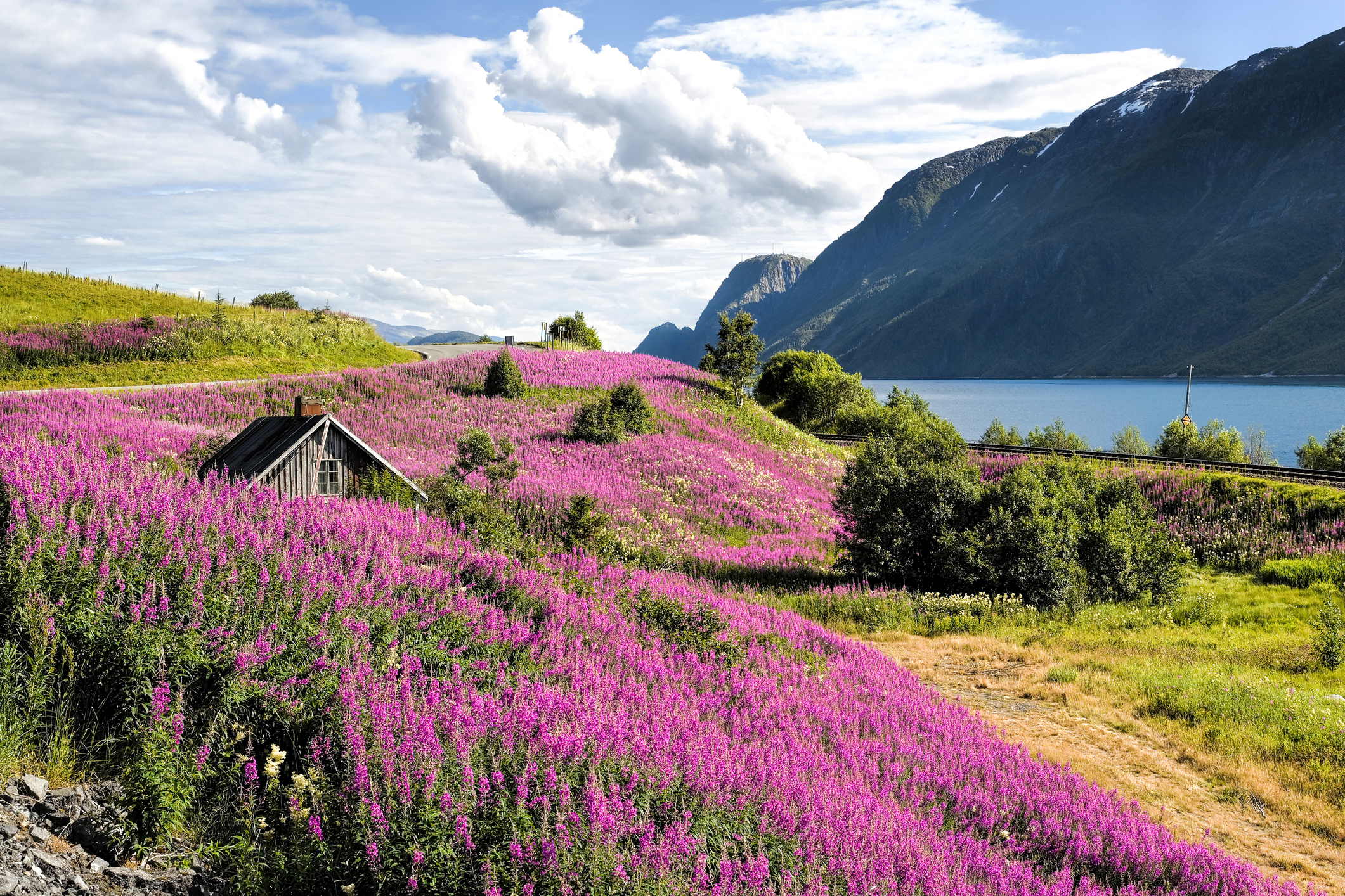 Beautiful landscape at Sognefjord in Norway